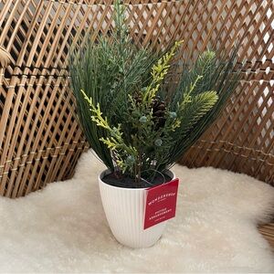 NWT Wondershop Green Potted Artificial Pine Arrangement